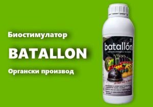 BATALLON